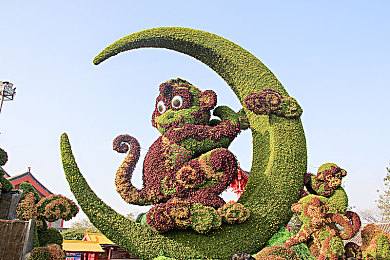 日韩卡一：日韩文化盛宴，友谊桥梁搭建-3