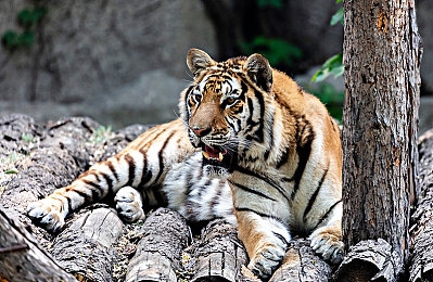 明里まりら被朋友侵犯：游戏悲剧：友谊变侵犯，玩家权益待保护-3