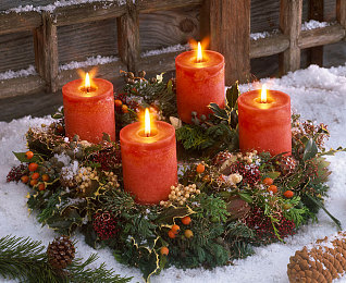 天天爱天天操：健身新潮流，操享健康人生-2