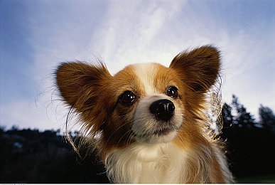 男人和女人在床上的app:游戏新体验,情感互动引关注-3