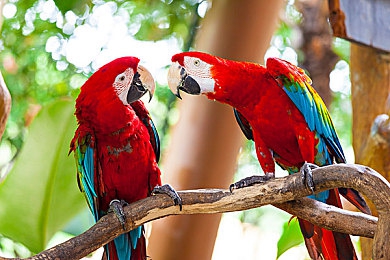 60分钟上大床：快速生活新潮流，60分钟大床变高效-2