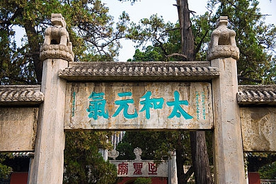 99热热99：数字潮流揭秘：网络热语“99热热99”背后的魅力-5