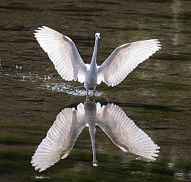 国精产品一区一区三区有va：国精产品大更新，VA技能升级惊喜来袭-3