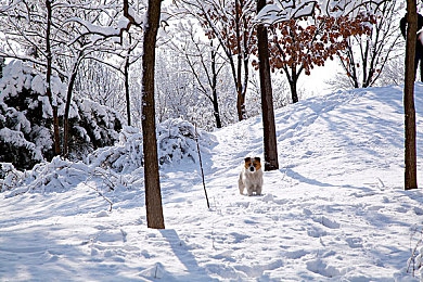 唐三插曲阿银不亦乐乎nba:篮球盛宴来袭,新角色助力NBA热潮-5