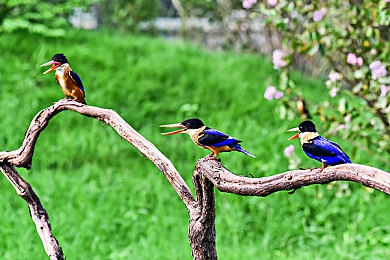 戴尿道塞憋尿训练表：憋尿游戏新玩法，健康生活新选择-4