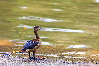 靠逼网站：网站新潮流，靠逼独领风骚