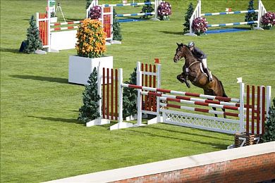 中国护士体内she精2╳╳╳：医院护士突发状况，行业规范亟待加强-4