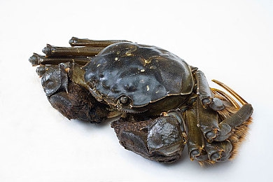 揉我胸 啊 嗯出奶了黄漫：奶娘奶娃，趣味满满-3