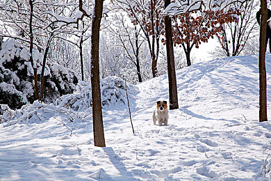 火辣app：社交新风尚，火辣app引潮流-3