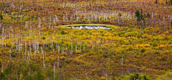 ysl水蜜桃口红色60101：口红新宠：春夏必备色彩揭秘-2