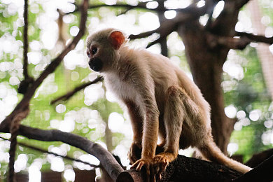 阿娇一夜被躁高潮3次：阿娇大胆谈私密，情感生活引热议-2