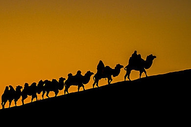 4399能免费看所有电视电影吗:免费观影陷阱揭秘,4399真相曝光-4