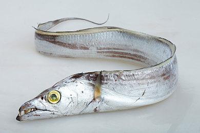 火辣app：社交新风尚，火辣app引潮流-4