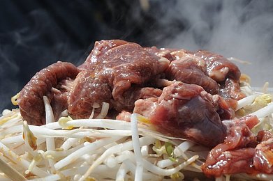 51张警犬9分10秒头撞玻璃：警犬耐力惊人，9分钟51次撞玻璃-4