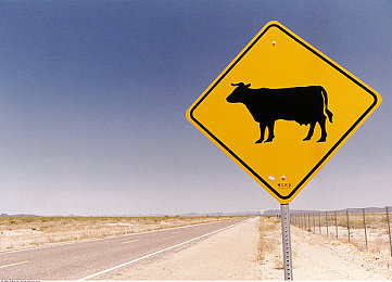 张柏芝帮陈冠希口咬：昔日偶像趣味互动，友谊满满-1