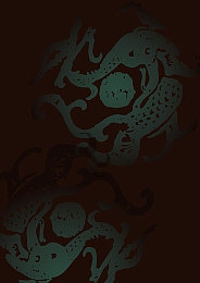 国外岁拗女稀缺资源：老龄化隐忧：婚育观念大转变-5