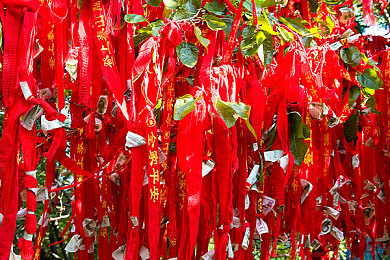 几个男的不戴套 一个女的：性行为防护缺失引关注-3