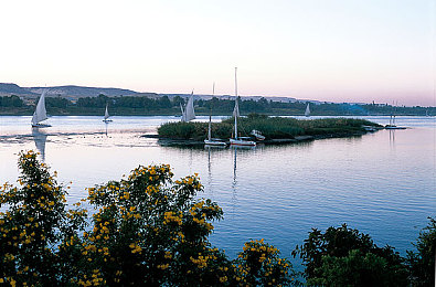 半夜把亲妺妺c高潮了的：深夜惊魂，家庭隐私风波-2