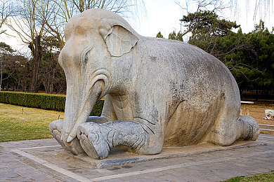 天天射天天干天天:工作狂潮背后的健康危机,你了解吗?-3