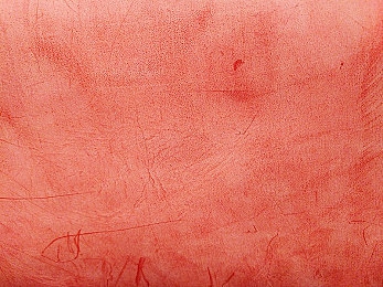 美女不穿衣服APP：时尚达人秀场，APP创新体验-4