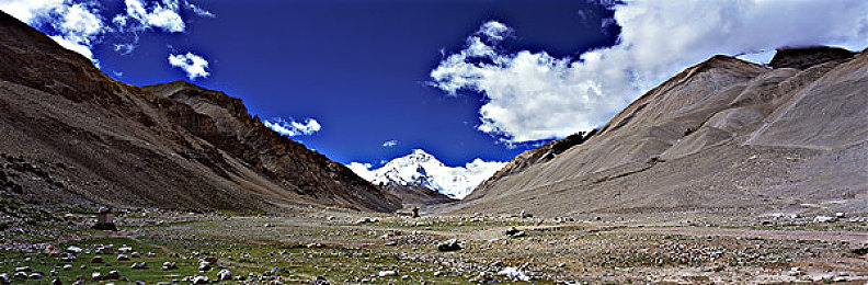 阿娇陈冠希囗交39分钟：明星隐私曝光，真相竟如此惊人