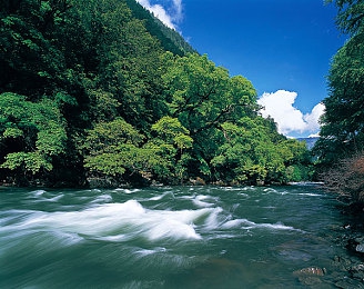 几个男的不戴套 一个女的：性行为防护缺失引关注-5