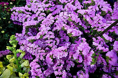 午夜福利体验区：新型社交空间引领潮流-1