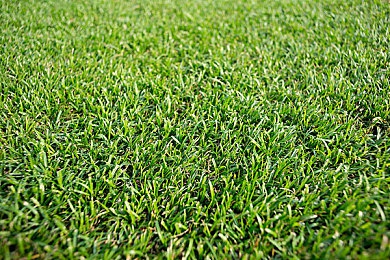 男生和女生一起差差很痛的app：情侣必备，神秘应用助力感情升温-3