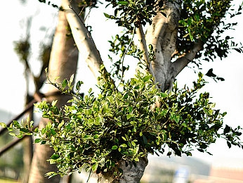 18岁以下禁看：惊悚奇幻之旅，揭秘禁播游戏之谜-4