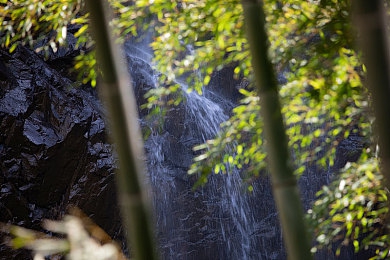 黄色软件十大:网络陷阱揭秘:揭秘十大“激情”软件-5