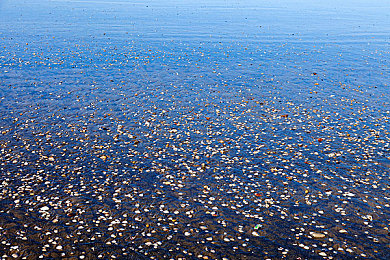男生和女生肌对肌：健身新风尚：男女肌对肌，友谊升级-2