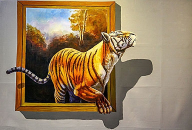 黄色软件app大全免费：免费软件大盘点，手机生活更精彩-4