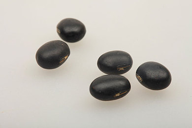 女人和男人打扑克APP：打破界限，趣味扑克新体验-1