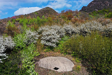 黄色软件大全套:软件大全套:多功能神器,生活工作两不误-1