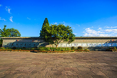 十八禁止网站：游戏净化风暴，健康环境启航-5