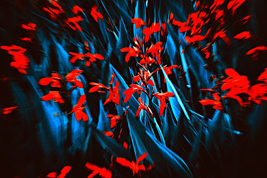 免费的推特r18网站：新兴市场推动游戏新风潮-4