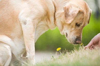客官不可以下载软件：平台禁下载，安全升级引关注-4