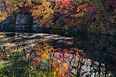 张柏芝打开双腿被亲Ps：张柏芝PS照片风波，维权之路引关注-2