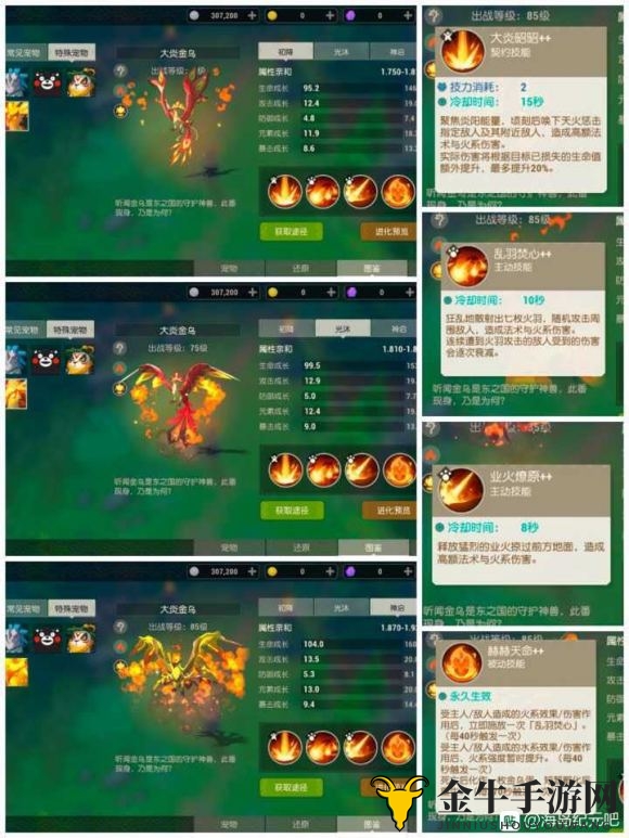 海岛纪元长弓最强宠物推荐 长弓带什么宠物最好