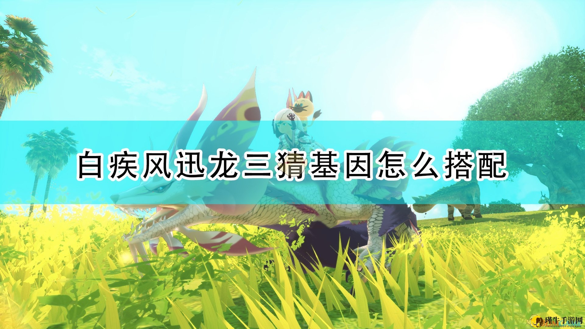 《怪物猎人物语2：毁灭之翼》白疾风迅龙三猜基因搭配推荐