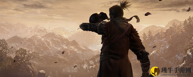 《只狼修炼之路》如何巧妙分配技能点