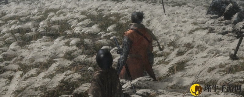 只狼 影逝二度哪里下载