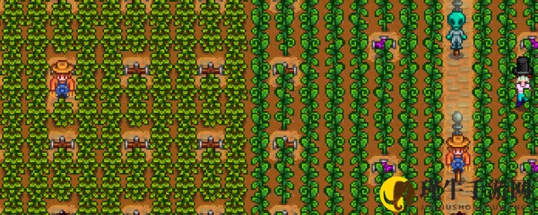 星露谷物语中稻草人安置攻略详解