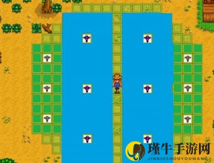 星露谷物语稻草人怎么布局