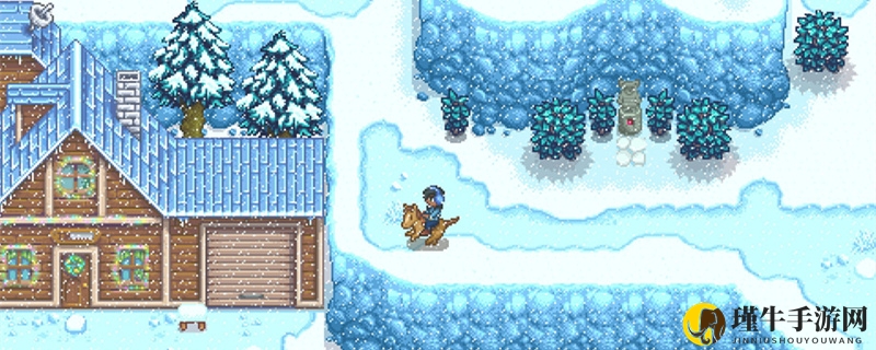 星露谷物语冬天种什么
