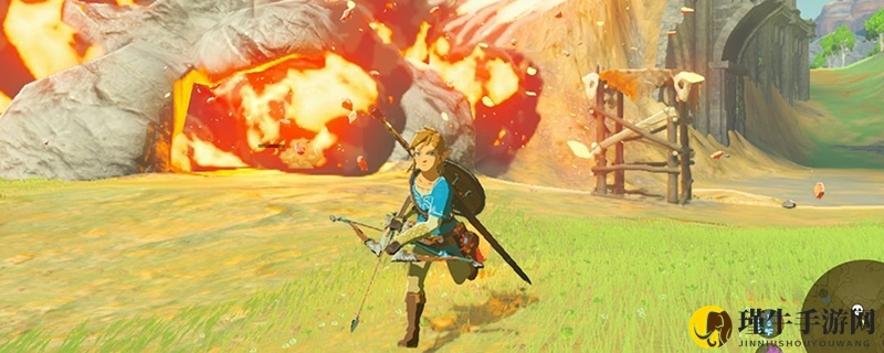 战胜空中守卫者：揭秘击败策略