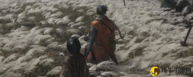 只狼爱哭鬼的指环在哪