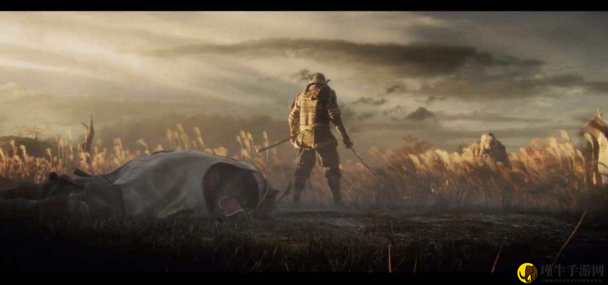 《只狼：影逝二度》攻略详探，多周目挑战与强化技巧解析