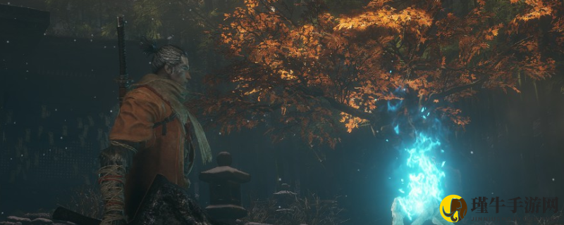 只狼：能否实现多人游戏互动？