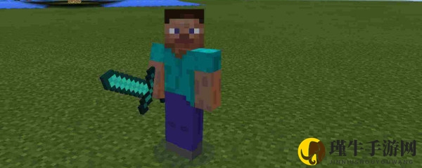 探索世界皮肤站，访问受阻问题多